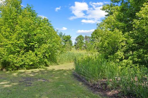 This is the main trail access point, somewhat in the middle of the west and loops. While previously used for ATVs, they would make great nature hiking paths as well. The entire loop is about 2/3 of a mile long.