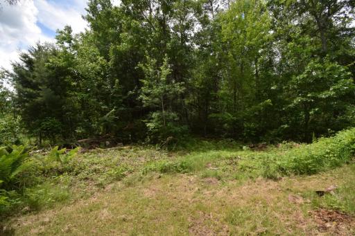 4411 Lunsman Drive, Danbury, WI 54830