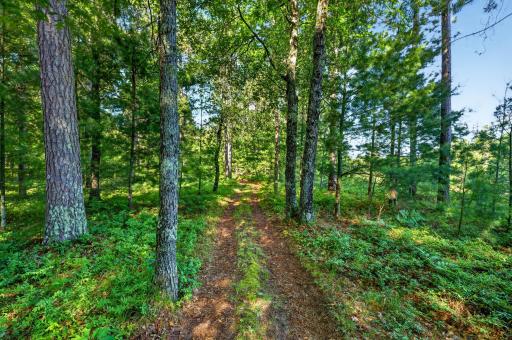 3307 State Road 77, Danbury, WI 54830