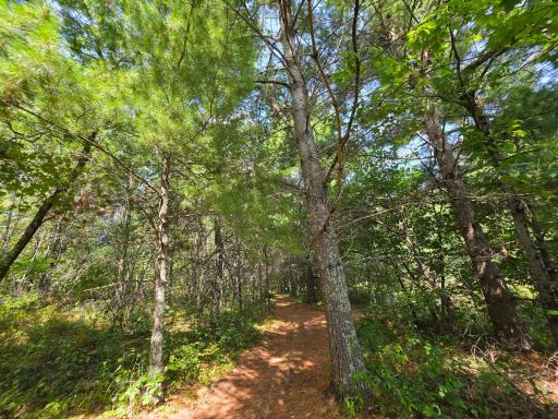 3307 State Road 77, Danbury, WI 54830