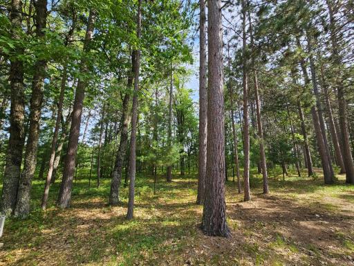 3307 State Road 77, Danbury, WI 54830