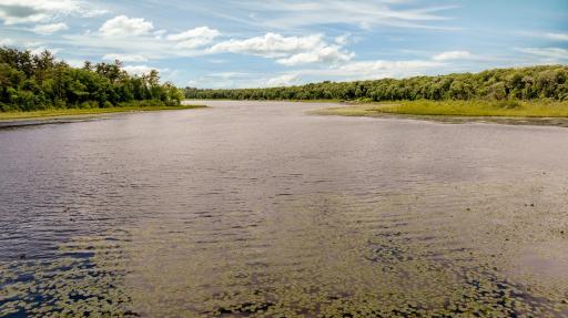 26667 Edna Lake Road, Nisswa, MN 56468