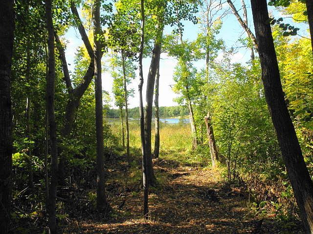Path to Fawn Lake