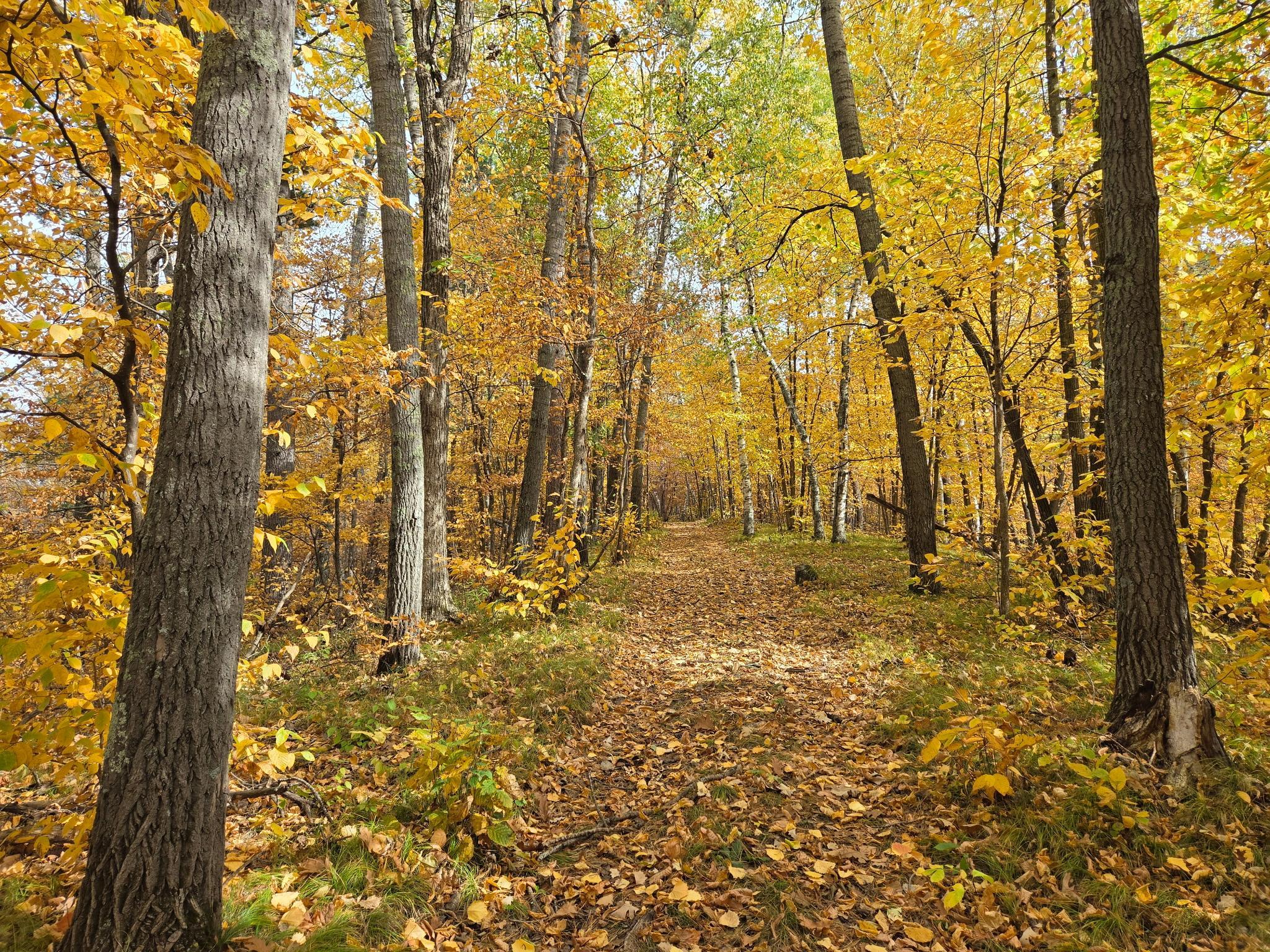 Scenic trail to the point