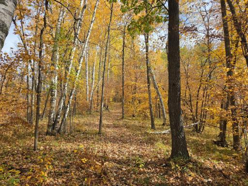 26667 Edna Lake Road, Nisswa, MN 56468