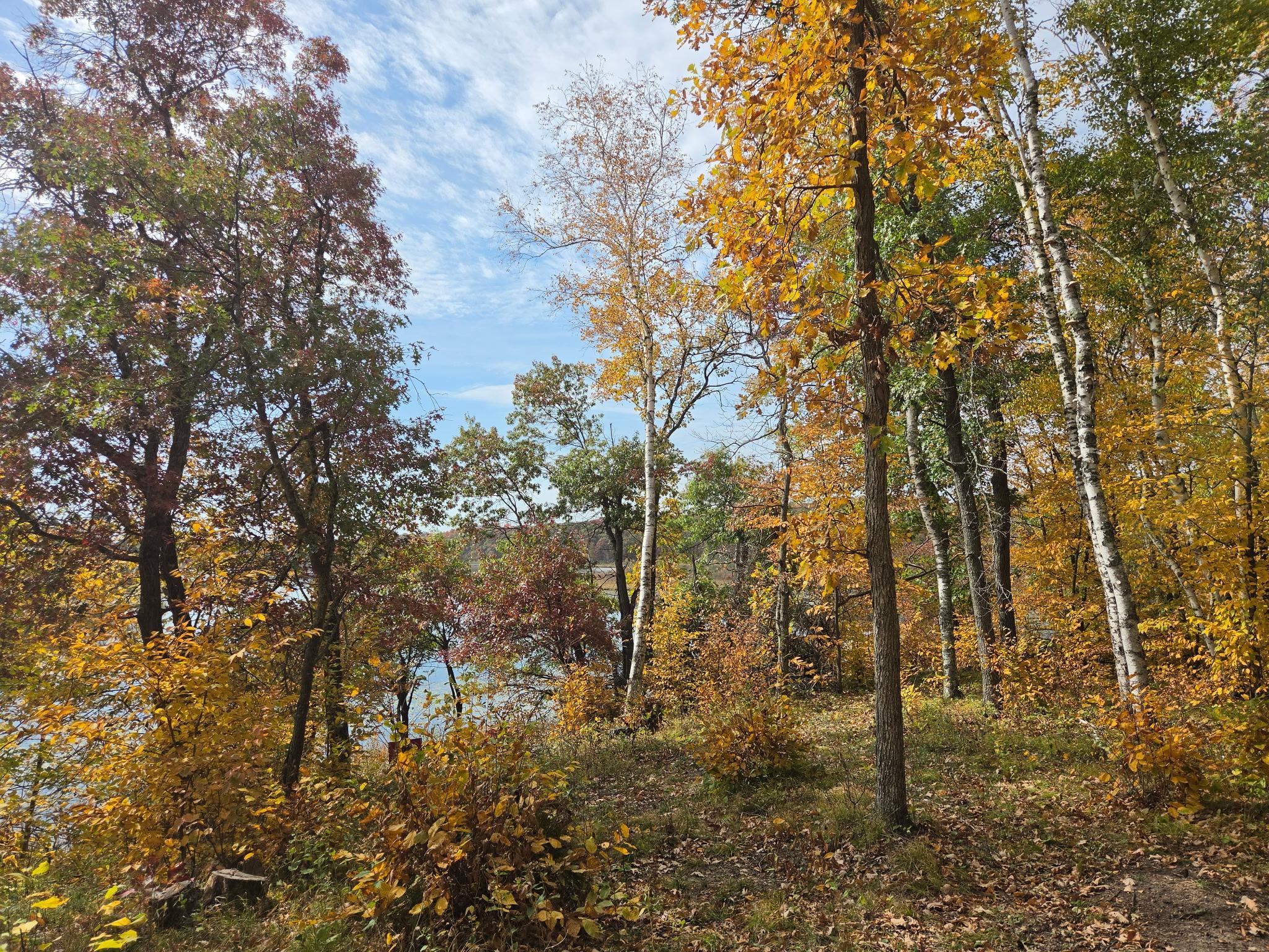 Fawn Lake