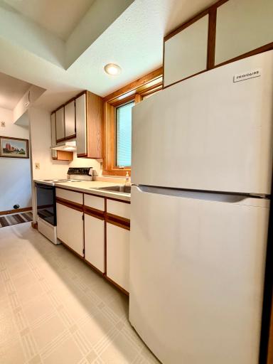 Lower level kitchen 3.jpeg