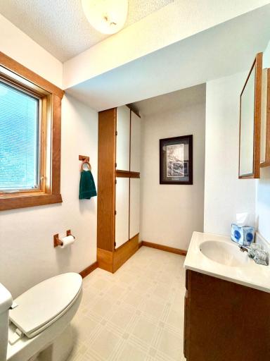 Lower level bath.jpeg