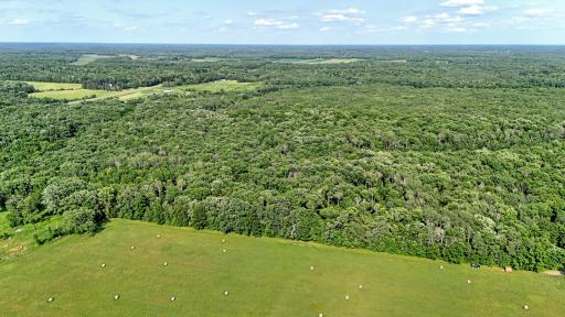 TBD 155th Avenue, Milaca, MN 56353