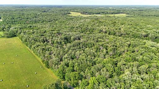 TBD 155th Avenue, Milaca, MN 56353