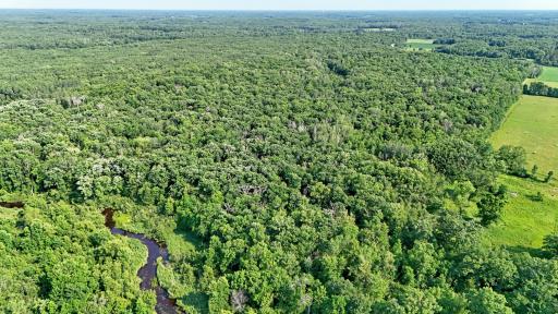 TBD 155th Avenue, Milaca, MN 56353