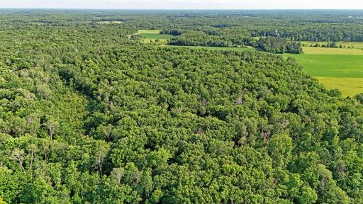 TBD 155th Avenue, Milaca, MN 56353