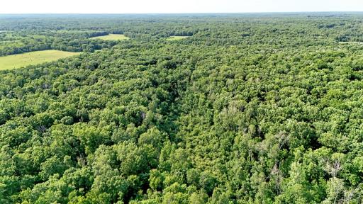 TBD 155th Avenue, Milaca, MN 56353