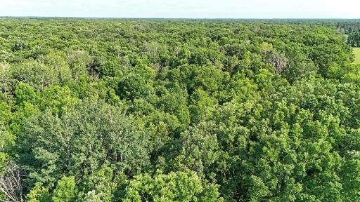 TBD 155th Avenue, Milaca, MN 56353