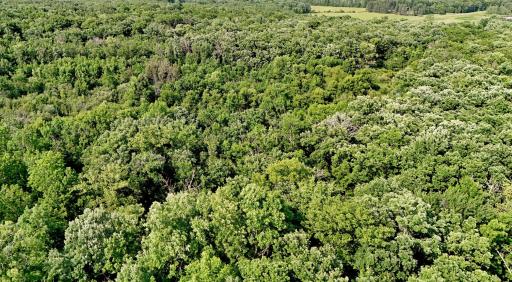 TBD 155th Avenue, Milaca, MN 56353