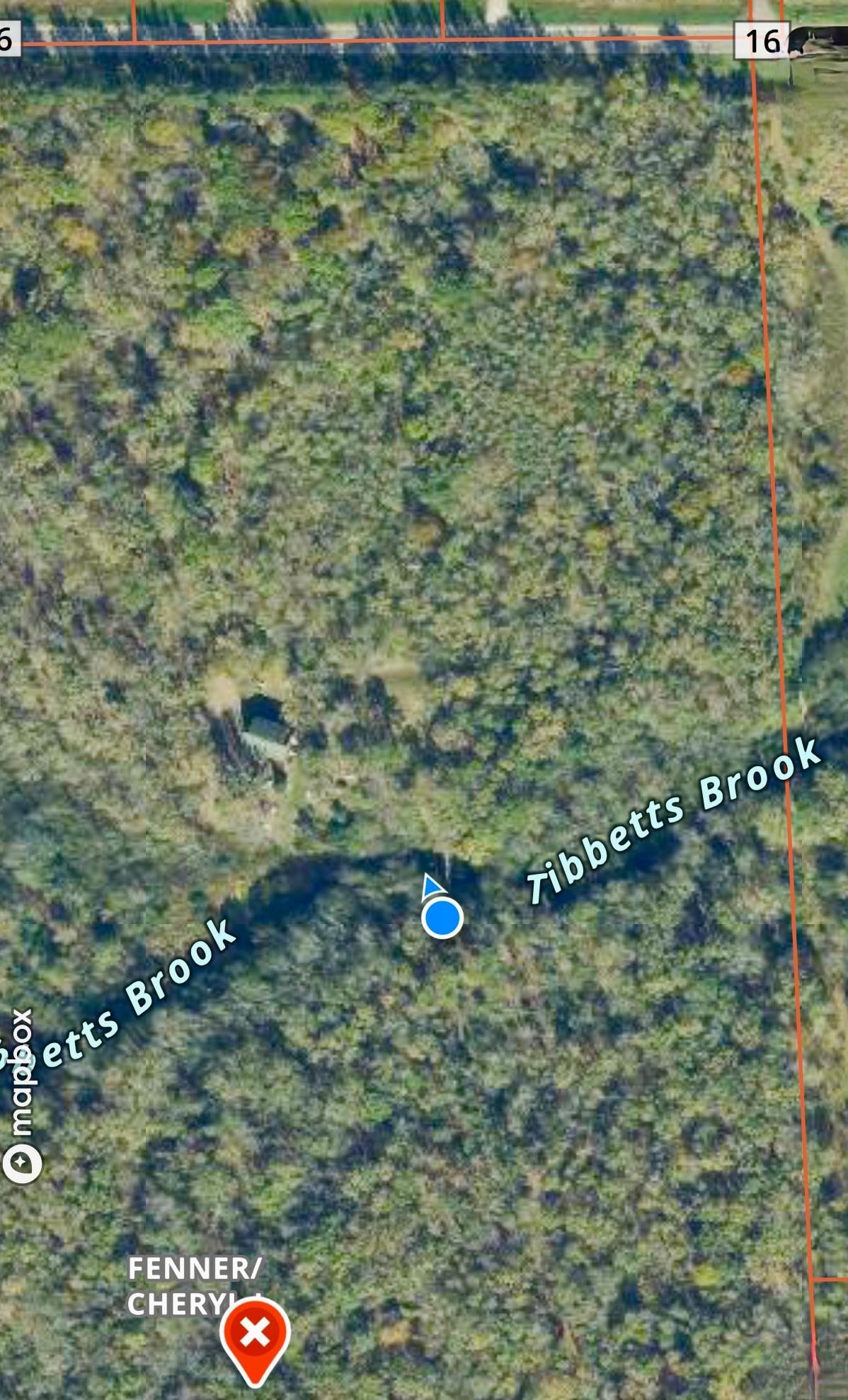 Foot Bridge Location Closeup.jpeg