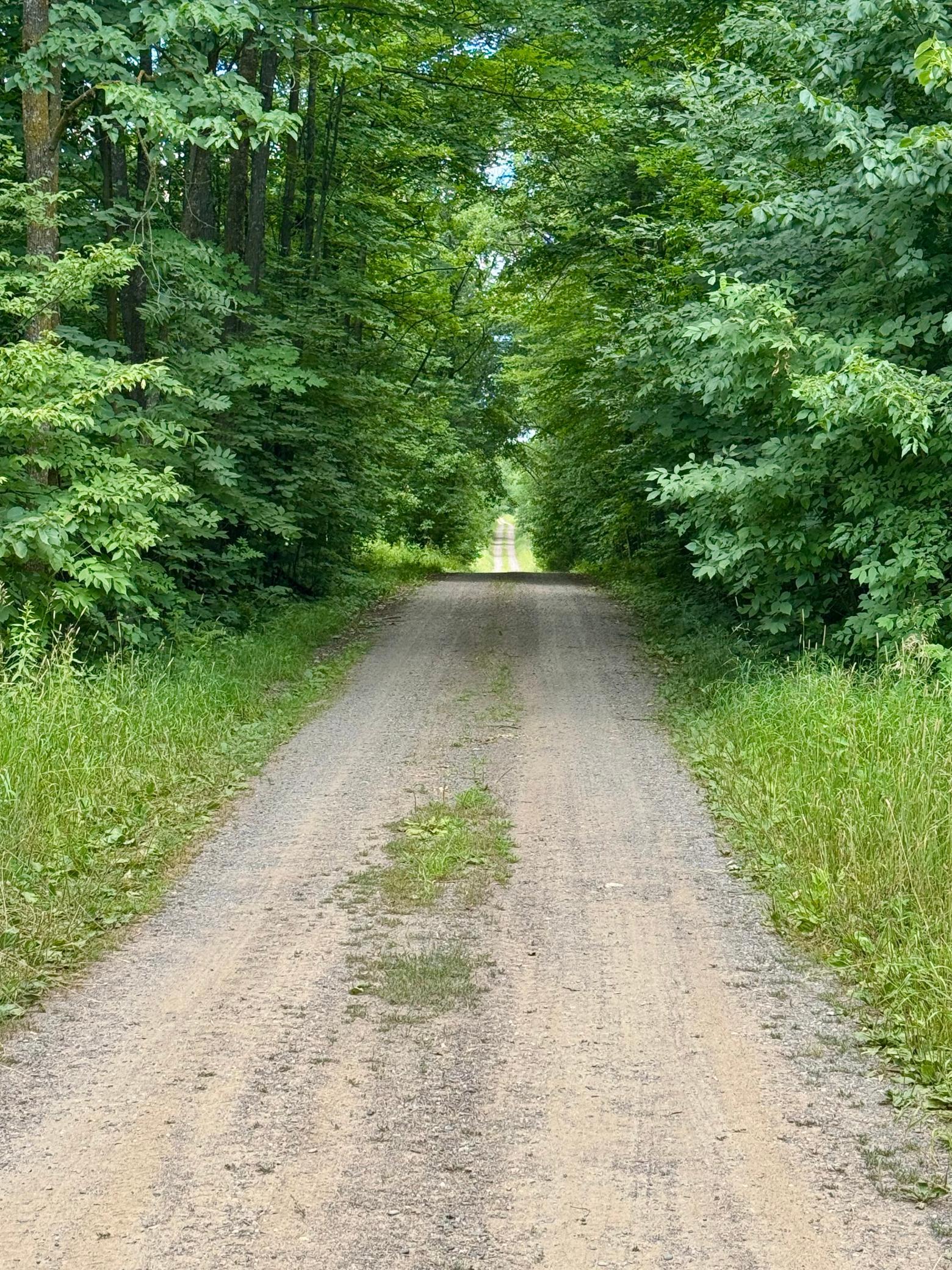 155th Avenue.jpeg