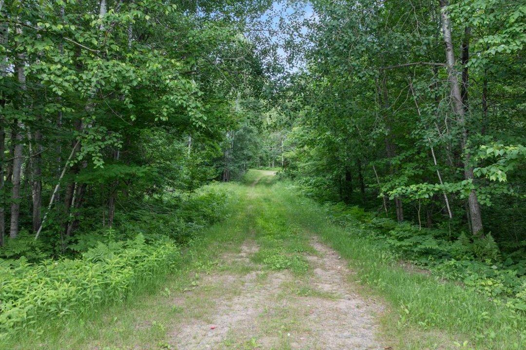 Driveway Area