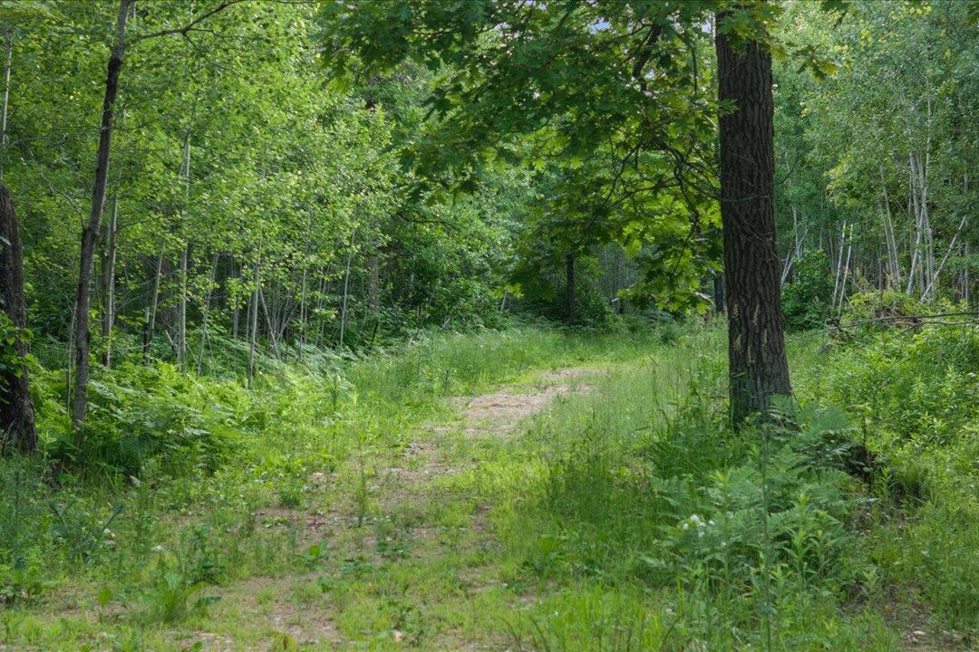 Trails