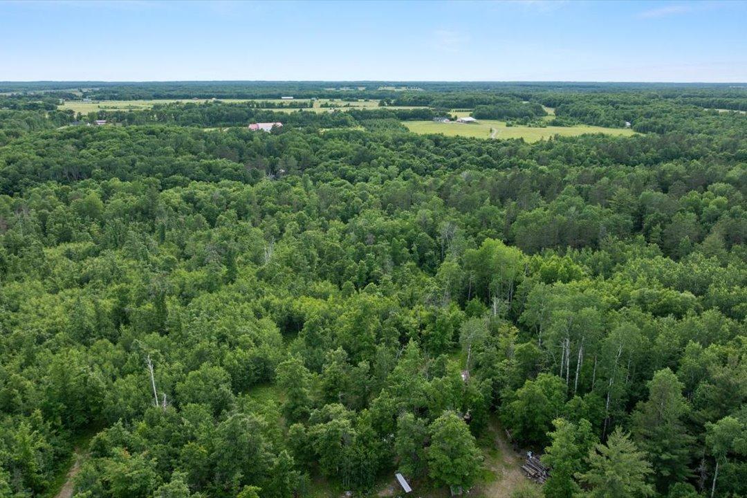 Overview