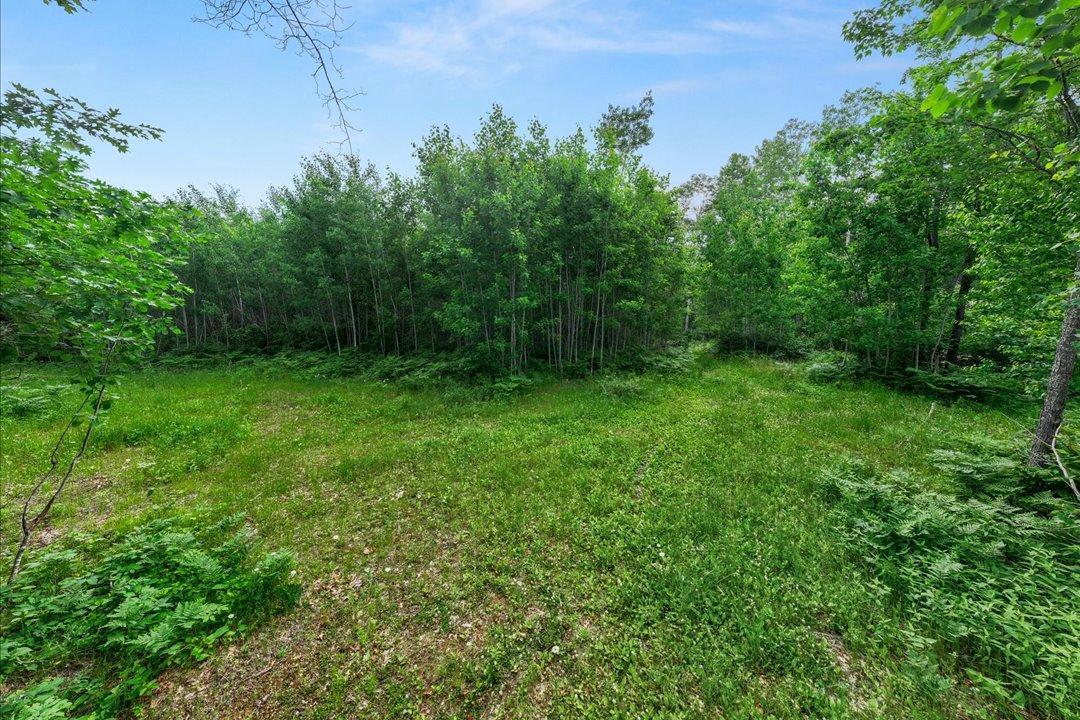 Potential Building Location