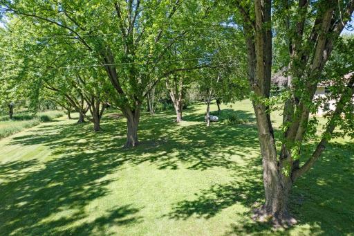 11040 N Shore Road, Waconia, MN 55387