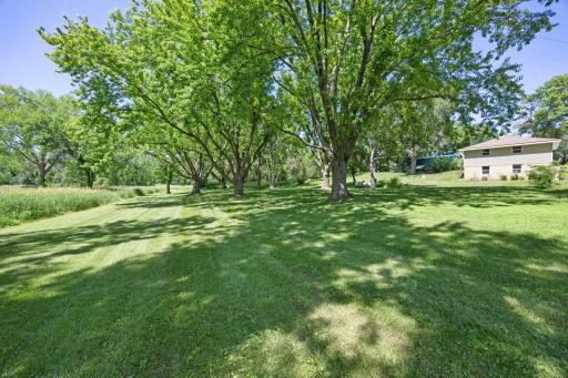 Enjoy the expansive green space under mature trees