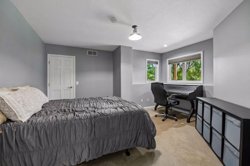 A lower-level bedroom with large walk in closet.