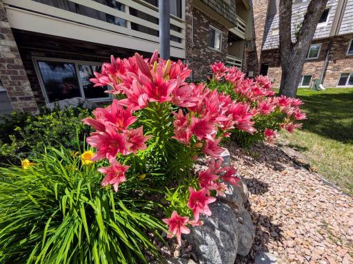 4387 Wilshire Boulevard, 106, Mound, MN 55364