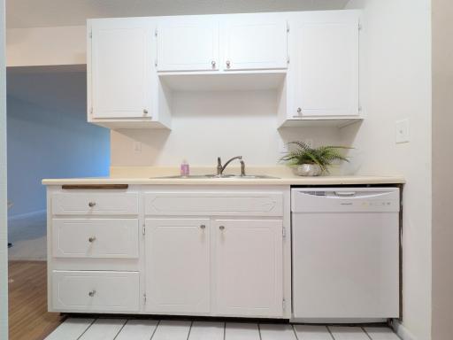 Kitchen sInk area with new faucet and dishwasher