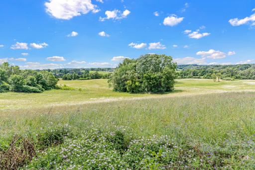 8955 Hilltop Drive, Saint Bonifacius, MN 55375