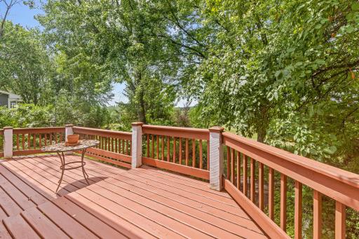 8955 Hilltop Drive, Saint Bonifacius, MN 55375