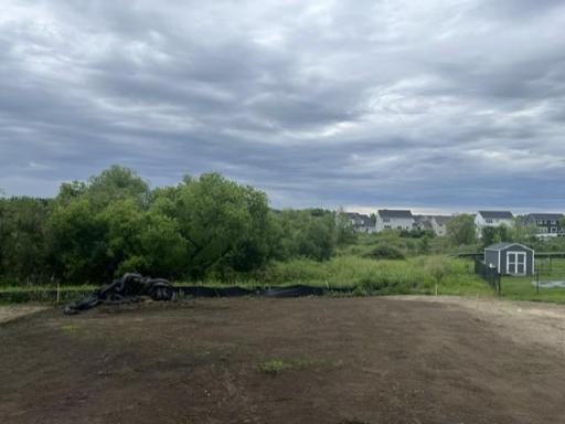 (Photo is of the actual backyard in progress.) Massive south-facing backyard with trees for privacy!