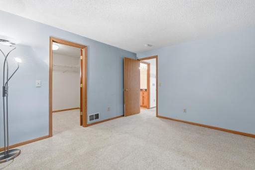 Reverse view of 3rd bedroom in the lower level showing off the walk in closet.