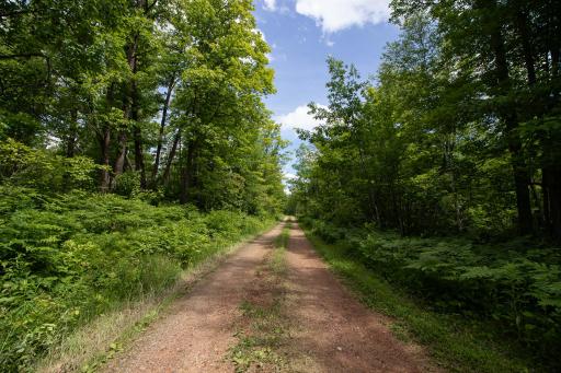 8090 County 52 NE, Remer, MN 56672