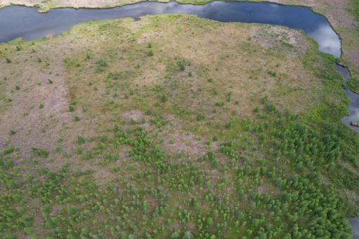 dji_fly_20260624_164646_998_1782338061277_photo.jpg