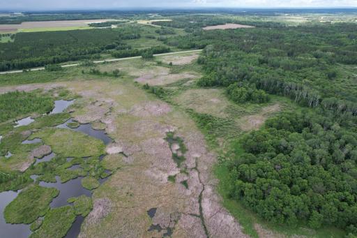 dji_fly_20260624_164828_2_1782338055637_photo.jpg