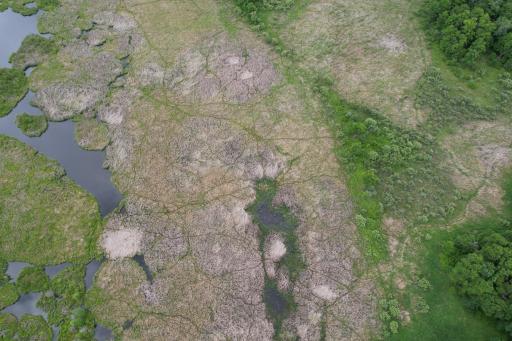 dji_fly_20260624_164846_4_1782338051605_photo.jpg