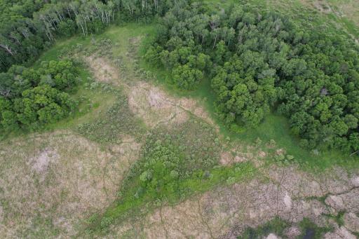dji_fly_20260624_164858_5_1782338049320_photo.jpg