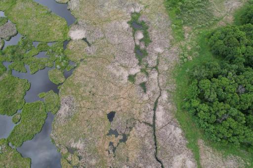 dji_fly_20260624_164840_3_1782338053752_photo.jpg