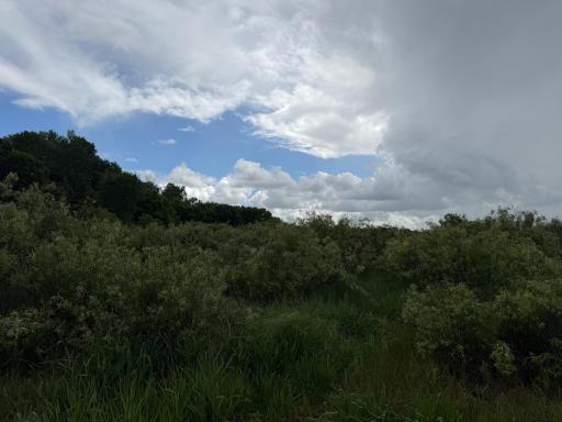 TBD 340th Street, Menahga, MN 56464