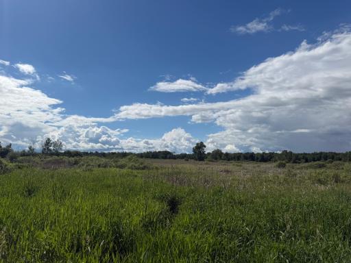 TBD 340th Street, Menahga, MN 56464