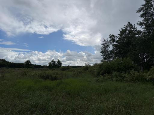 TBD 340th Street, Menahga, MN 56464