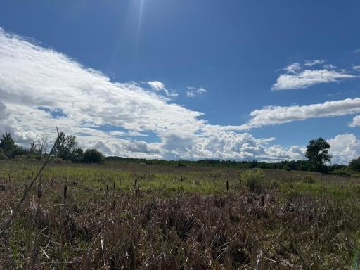 TBD 340th Street, Menahga, MN 56464