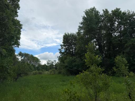 TBD 340th Street, Menahga, MN 56464