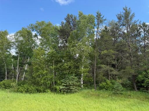TBD 340th Street, Menahga, MN 56464