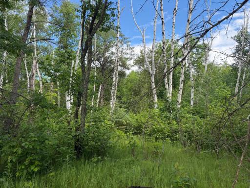 TBD 340th Street, Menahga, MN 56464