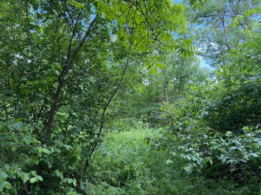 TBD 340th Street, Menahga, MN 56464