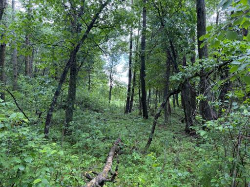 TBD 340th Street, Menahga, MN 56464