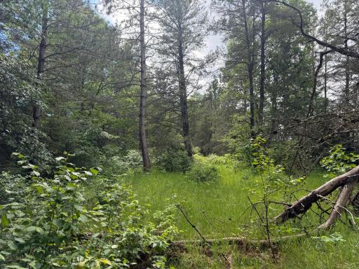 TBD 340th Street, Menahga, MN 56464